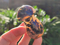 Polished Mix of Selected Gemstones, Minerals and Crystals Gift Set of 12 x 1 From Southern Africa