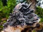 Natural Rare "Blacknite Quartz" Iridescent Cluster x 1 From Madagascar