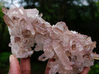 Natural Red Hematoid Quartz Crystal Cluster x 1 From Fianarantsoa, Madagascar