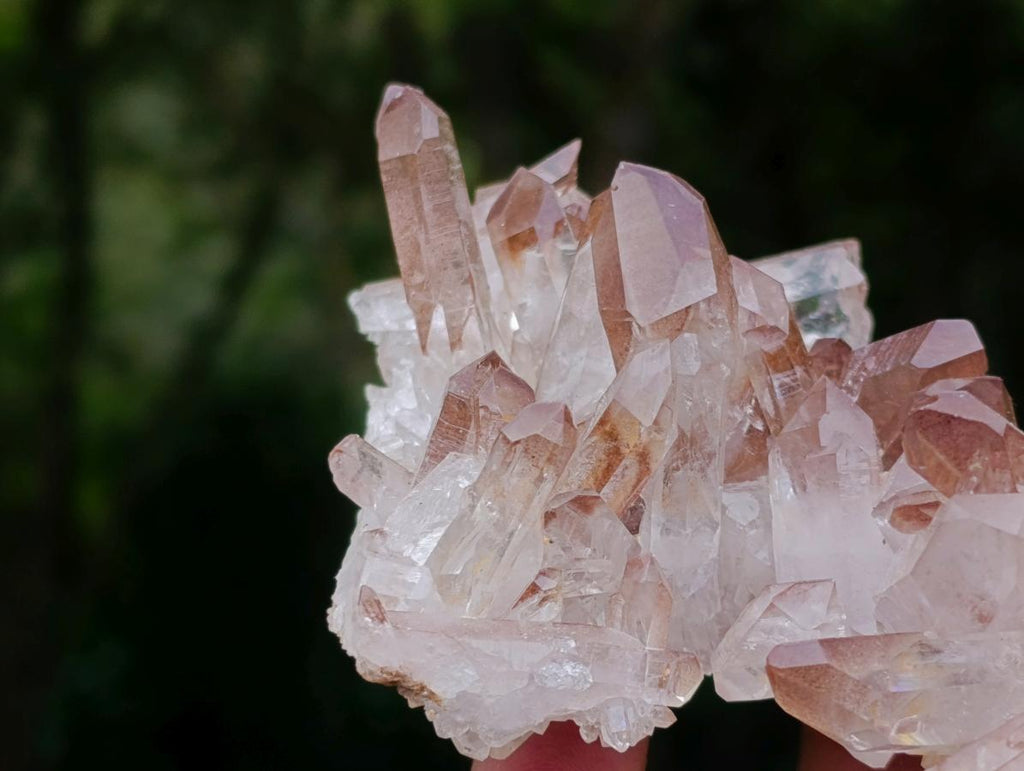 Natural Red Hematoid Quartz Crystal Cluster x 1 From Fianarantsoa, Madagascar