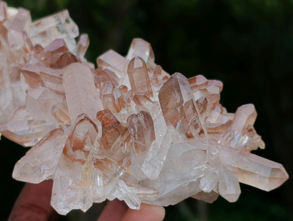 Natural Red Hematoid Quartz Crystal Cluster x 1 From Fianarantsoa, Madagascar