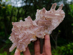 Natural Red Hematoid Quartz Crystal Cluster x 1 From Fianarantsoa, Madagascar