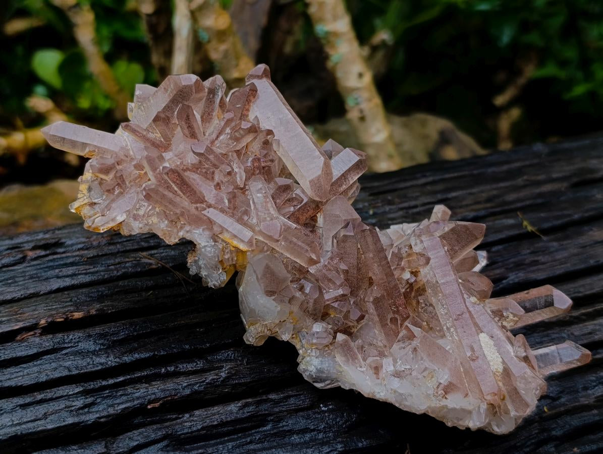 Natural Red Hematoid Quartz Crystal Cluster x 1 From Fianarantsoa, Madagascar