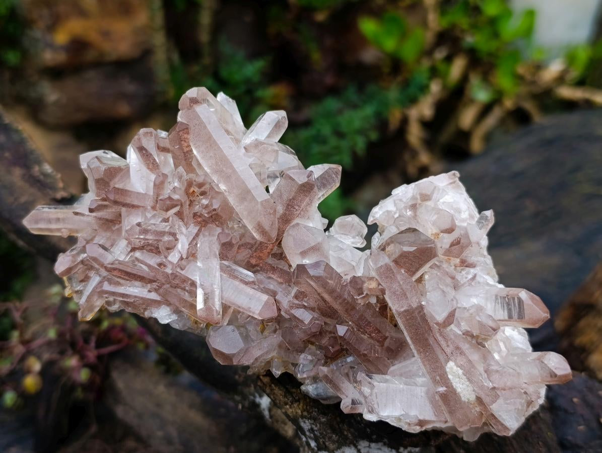 Natural Red Hematoid Quartz Crystal Cluster x 1 From Fianarantsoa, Madagascar