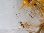 Polished Golden Veiled Window Quartz Crystal x 1 From Akansobe, Madagascar