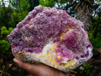 Natural XL Rare Bright Purple Jelly Fluorite Specimen x 1 From Riemvasmaak, South Africa (Copy)
