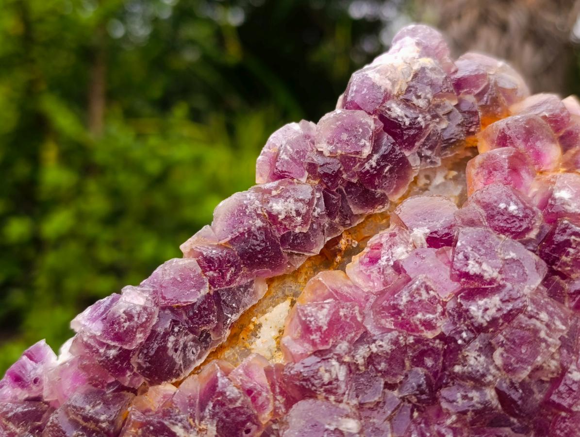 Natural XL Rare Bright Purple Jelly Fluorite Specimen x 1 From Riemvasmaak, South Africa (Copy)