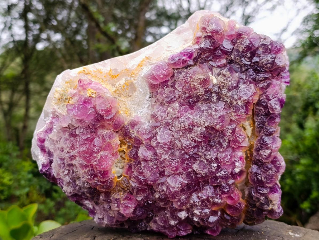 Natural XL Rare Bright Purple Jelly Fluorite Specimen x 1 From Riemvasmaak, South Africa (Copy)