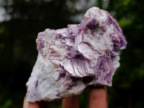 Natural Mix of African Minerals and Crystals Set of 6 x 1 From Southern Africa