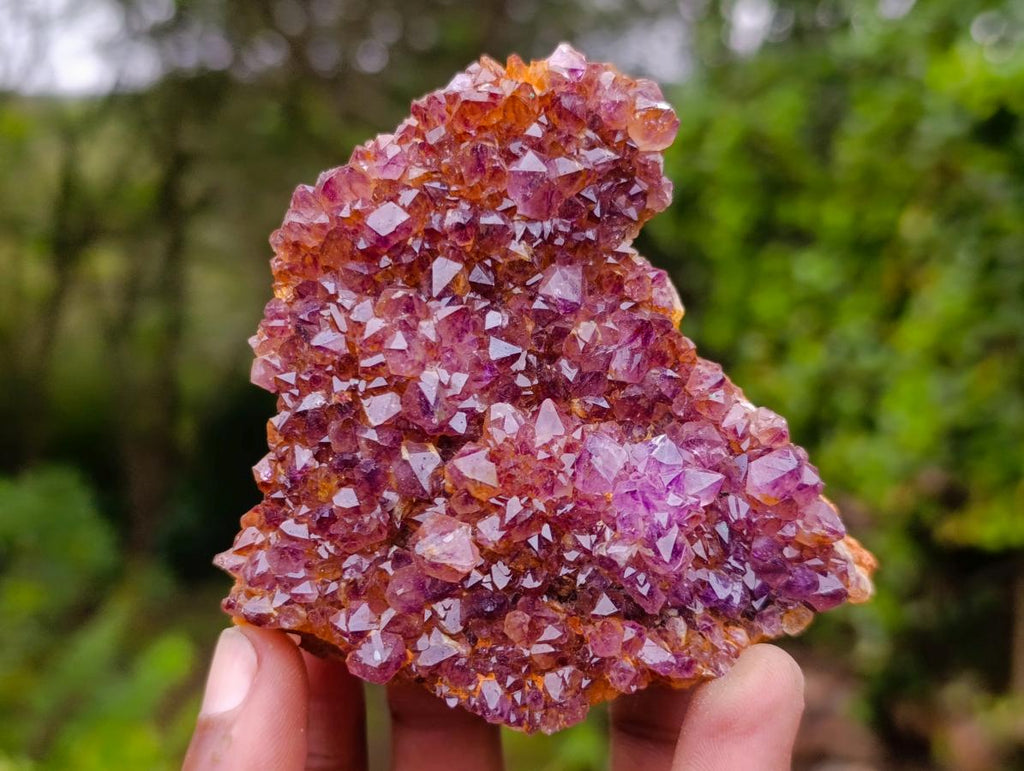 Natural Mix of African Minerals and Crystals Set of 6 x 1 From Southern Africa