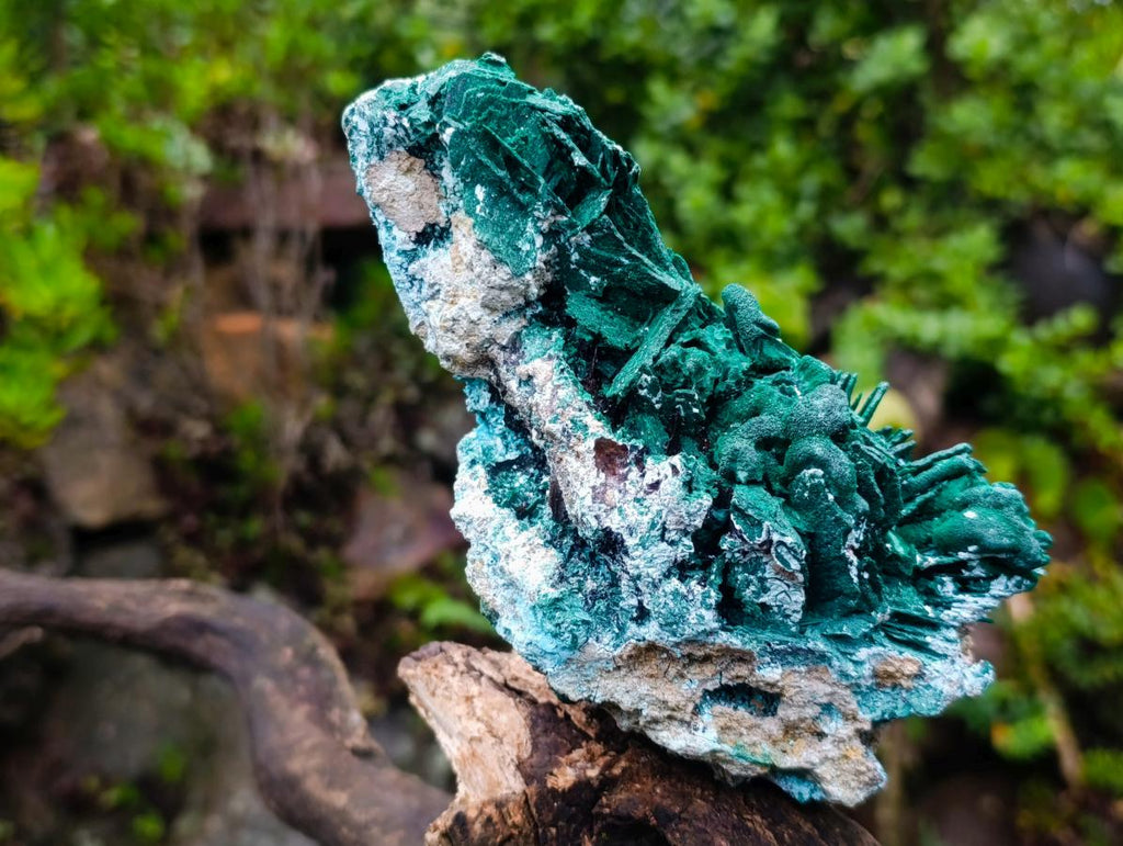 Natural Bladed Malachite after Azurite Pseudomorph Specimen x 1 From Kolwezi, Congo