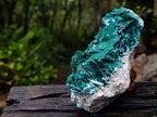 Natural Bladed Malachite after Azurite Pseudomorph Specimen x 1 From Kolwezi, Congo