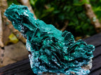 Natural Bladed Malachite after Azurite Pseudomorph Specimen x 1 From Kolwezi, Congo