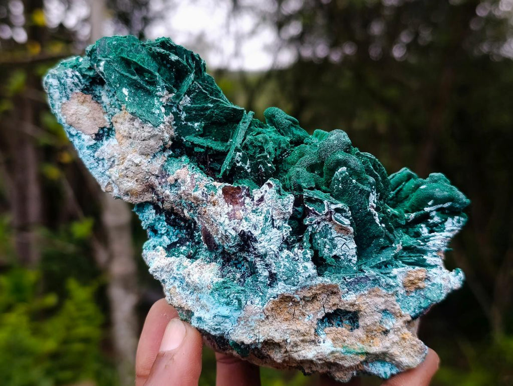 Natural Bladed Malachite after Azurite Pseudomorph Specimen x 1 From Kolwezi, Congo