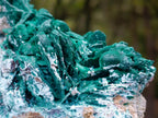 Natural Bladed Malachite after Azurite Pseudomorph Specimen x 1 From Kolwezi, Congo