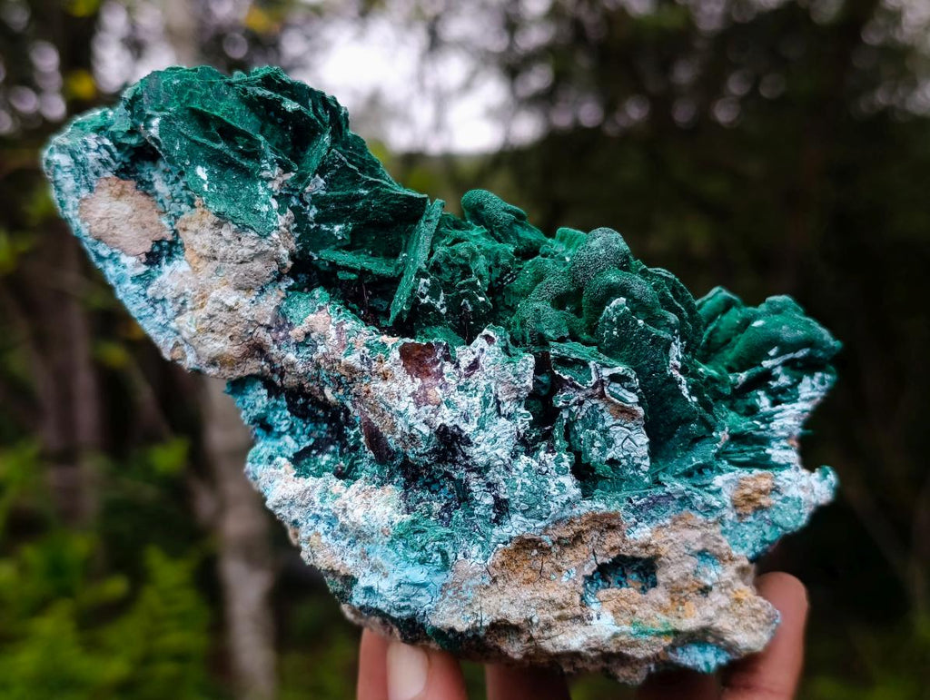 Natural Bladed Malachite after Azurite Pseudomorph Specimen x 1 From Kolwezi, Congo