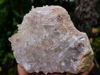 Natural Bright and Clear Quartz Cluster x 1 From Fianarantsoa, Madagascar