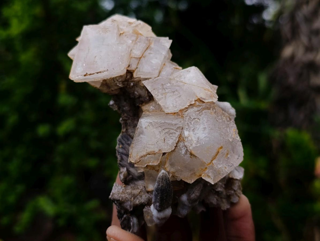 Natural Stacked Cubic Calcite Mineral Specimen x 1 From Albert's Mountain, Lesotho