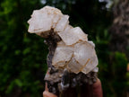 Natural Stacked Cubic Calcite Mineral Specimen x 1 From Albert's Mountain, Lesotho