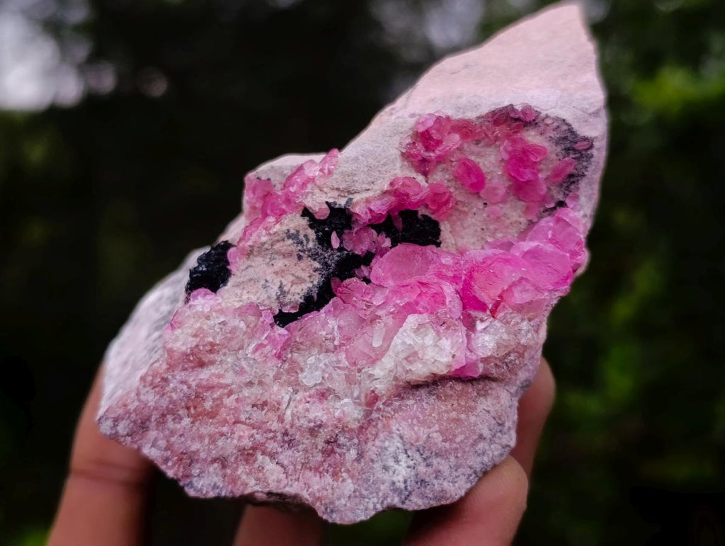 Natural Super Rare Gemmy Spherocobaltite Specimen x 1 From Musonoi Mine, Congo