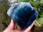 Polished One Side Translucent Watermelon Fluorite Specimen x 1 From Uis, Namibia