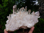 Natural Bright and Clear Quartz Cluster x 1 From Fianarantsoa, Madagascar