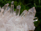 Natural Bright and Clear Quartz Cluster x 1 From Fianarantsoa, Madagascar