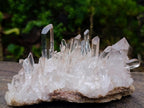Natural Bright and Clear Quartz Cluster x 1 From Fianarantsoa, Madagascar