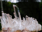 Natural Bright and Clear Quartz Cluster x 1 From Fianarantsoa, Madagascar