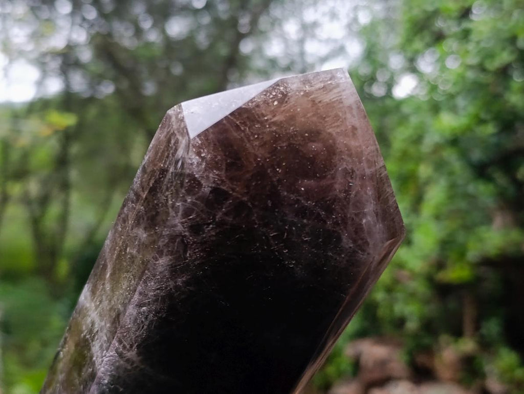 Polished XL Tabular Dark Smokey Quartz Crystal x 1 From Madagascar