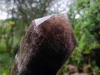 Polished XL Tabular Dark Smokey Quartz Crystal x 1 From Madagascar