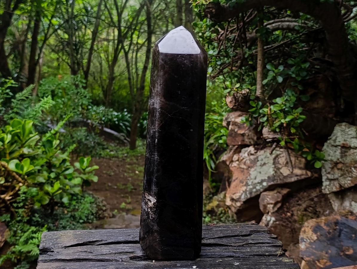 Polished XL Tabular Dark Smokey Quartz Crystal x 1 From Madagascar