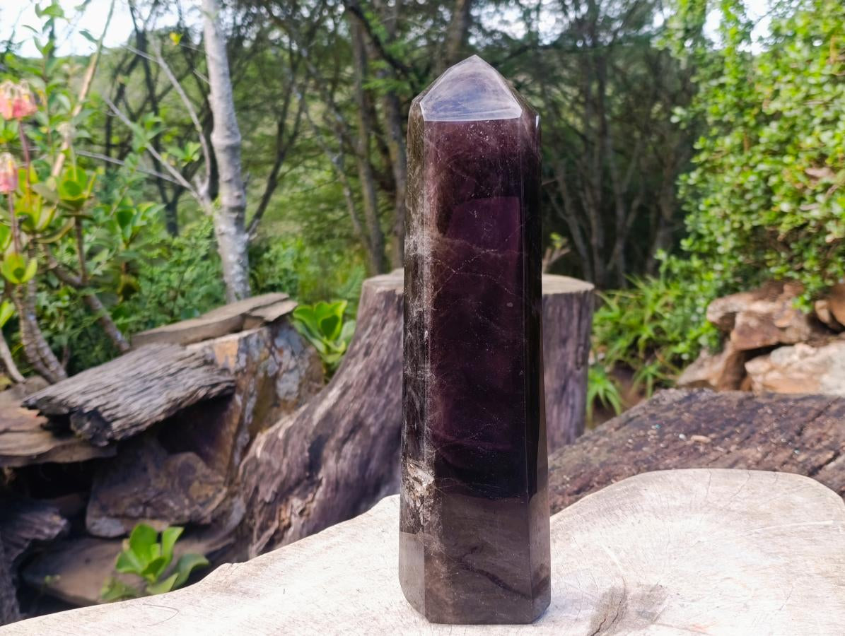 Polished XL Tabular Dark Smokey Quartz Crystal x 1 From Madagascar