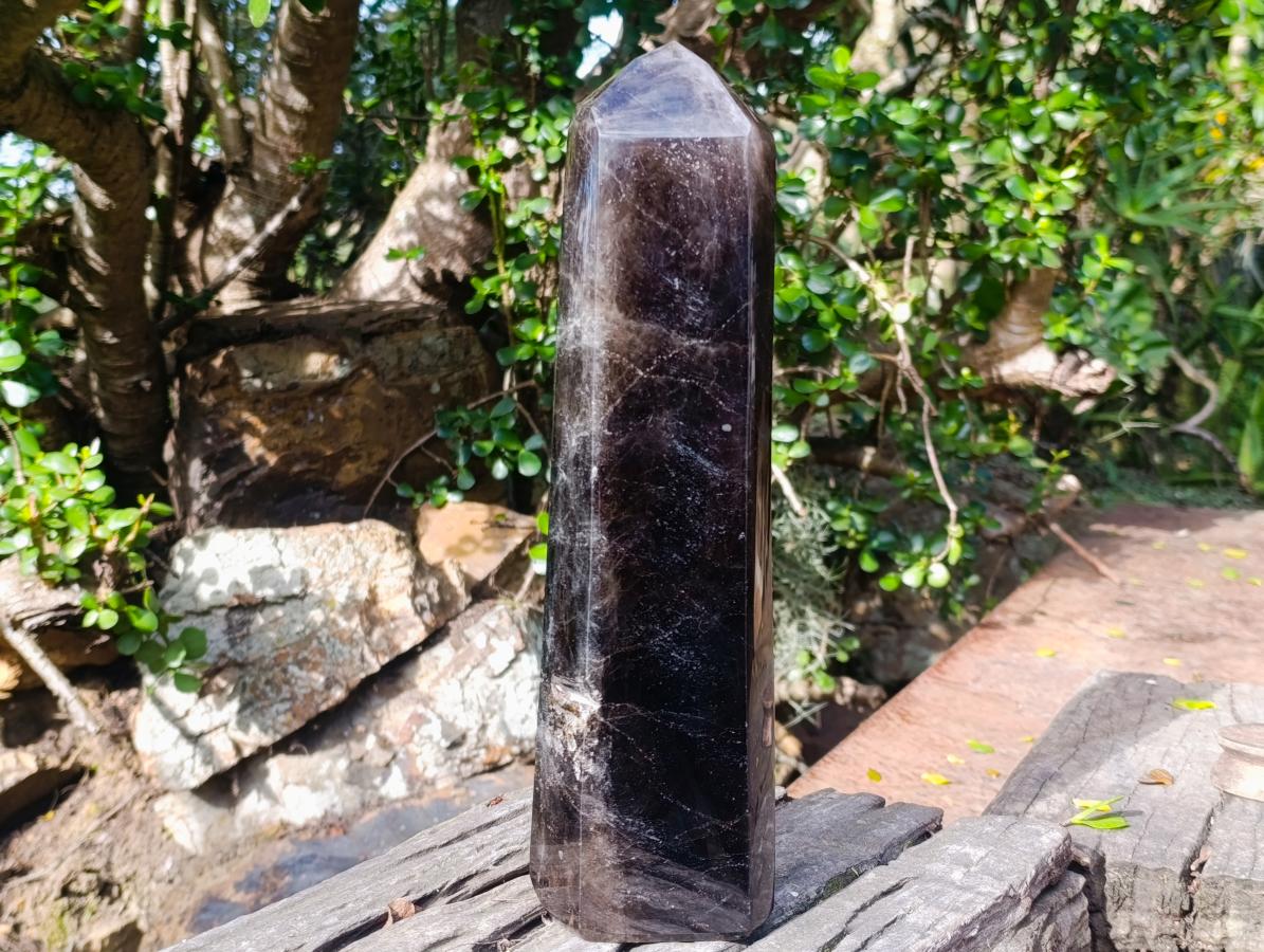 Polished XL Tabular Dark Smokey Quartz Crystal x 1 From Madagascar