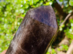 Polished XL Tabular Dark Smokey Quartz Crystal x 1 From Madagascar