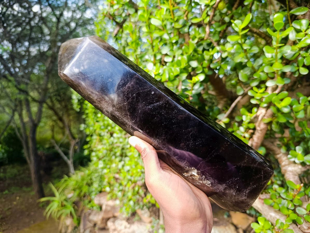 Polished XL Tabular Dark Smokey Quartz Crystal x 1 From Madagascar