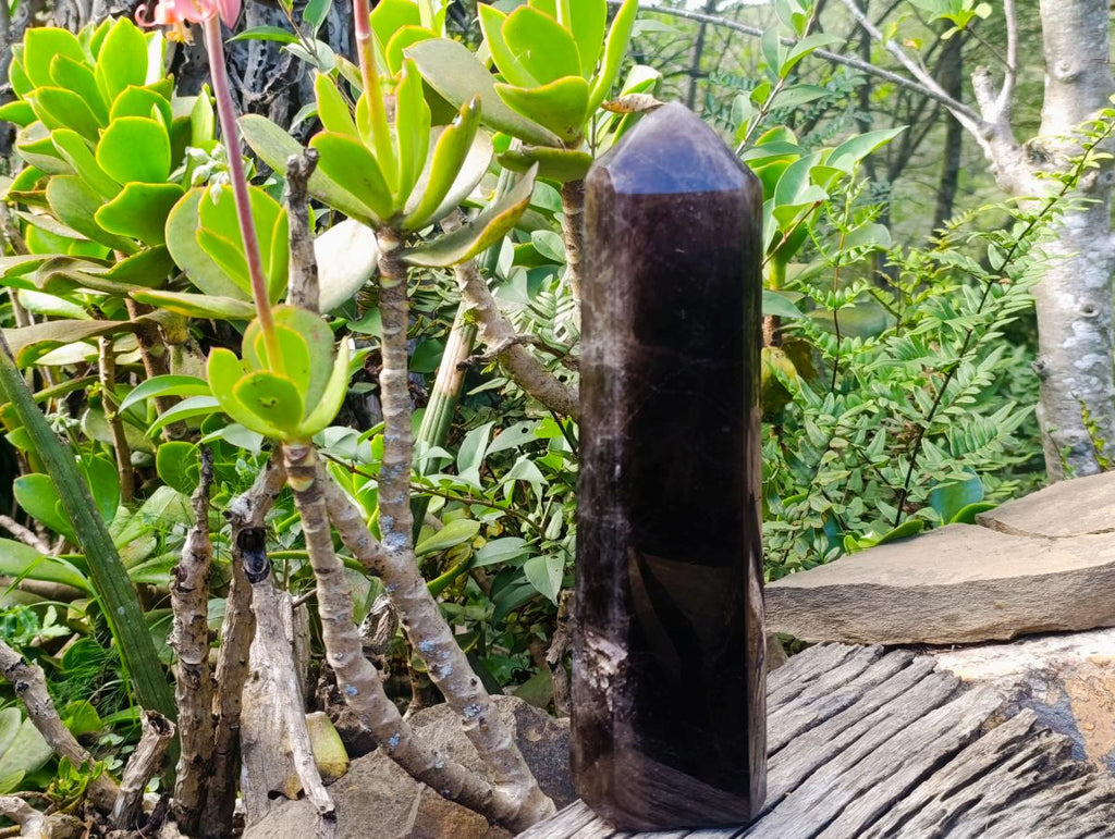 Polished XL Tabular Dark Smokey Quartz Crystal x 1 From Madagascar