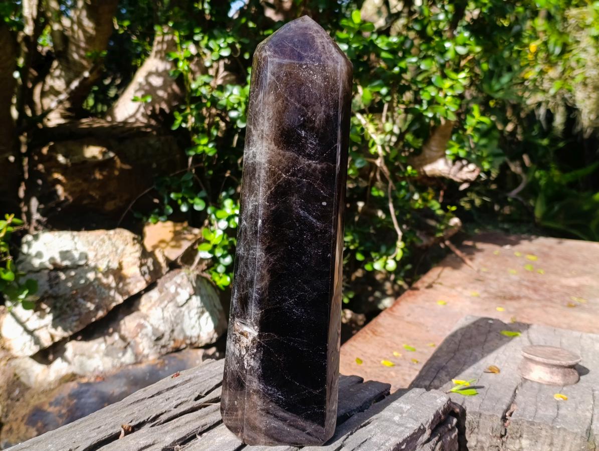 Polished XL Tabular Dark Smokey Quartz Crystal x 1 From Madagascar