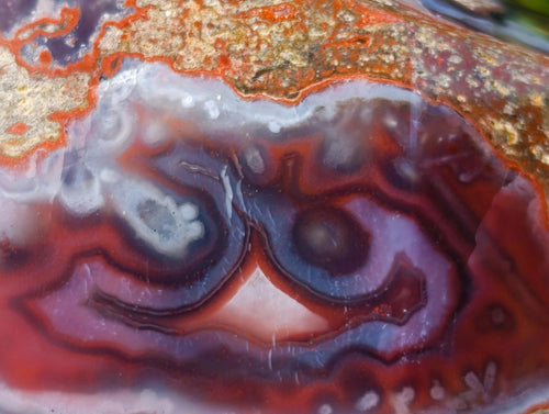 Polished Strawberry Agate Standing Display Crystal x 1 From Mozambique