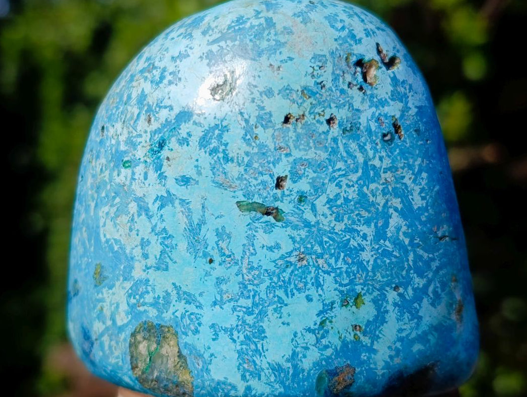 Polished Chrysocolla Free Form x 1 From Congo