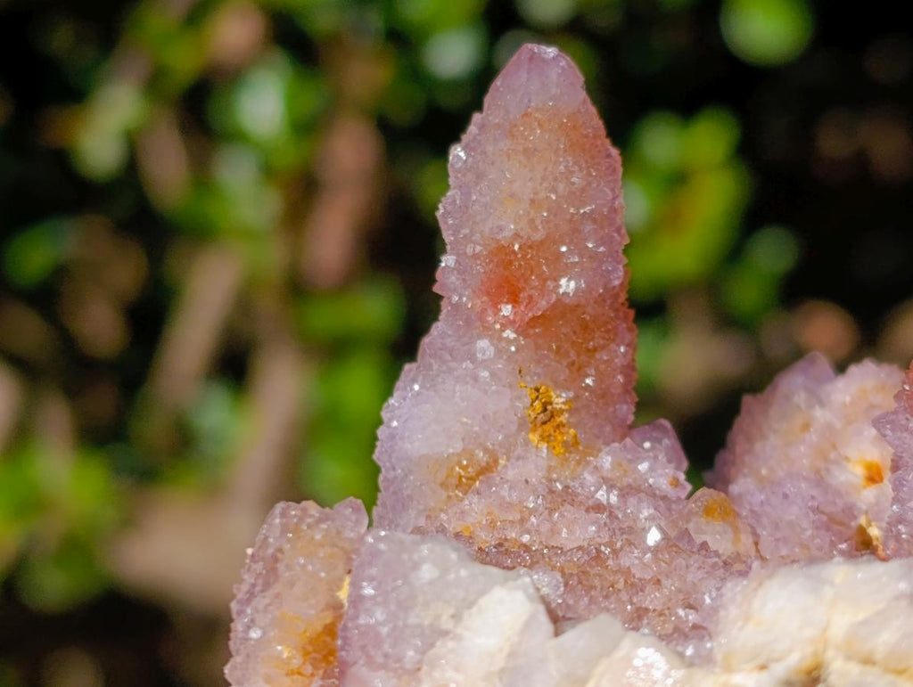 Natural Cabinet Size Spirit Ametrine Cluster x 1 From Boekenhouthoek, South Africa