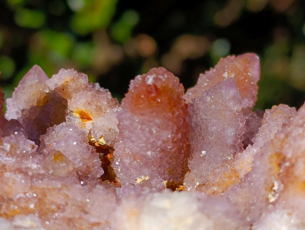 Natural Cabinet Size Spirit Ametrine Cluster x 1 From Boekenhouthoek, South Africa
