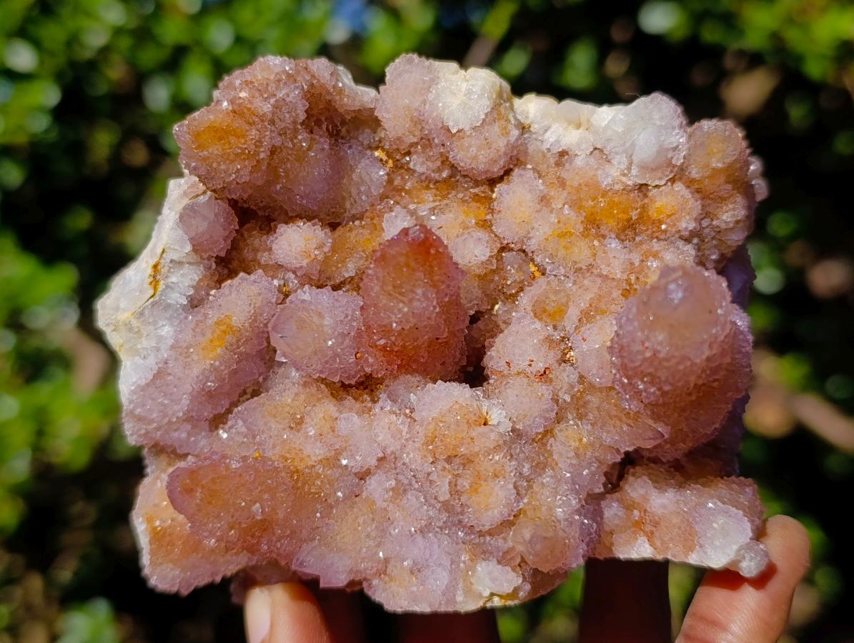 Natural Cabinet Size Spirit Ametrine Cluster x 1 From Boekenhouthoek, South Africa