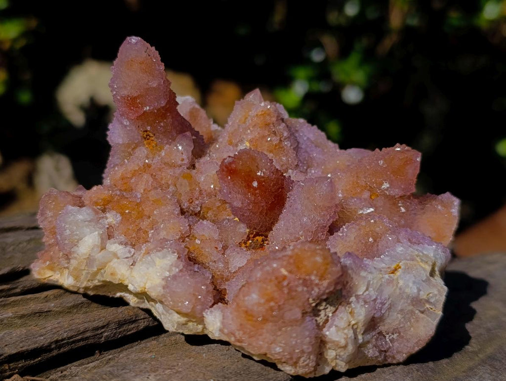 Natural Cabinet Size Spirit Ametrine Cluster x 1 From Boekenhouthoek, South Africa