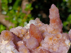 Natural Cabinet Size Spirit Ametrine Cluster x 1 From Boekenhouthoek, South Africa