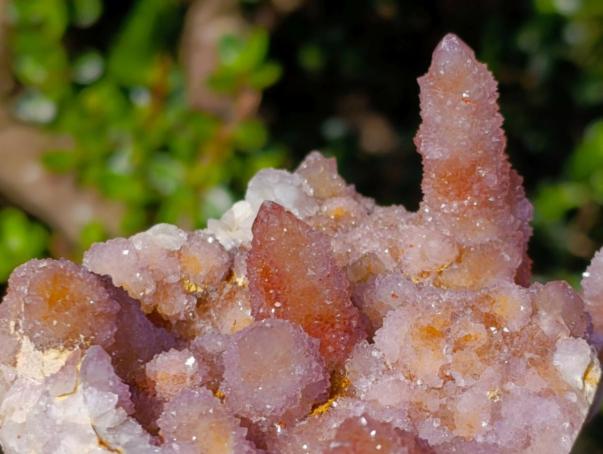 Natural Cabinet Size Spirit Ametrine Cluster x 1 From Boekenhouthoek, South Africa