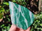 Polished Banded Budstone Standing Display Crystal x 1 From Swaziland