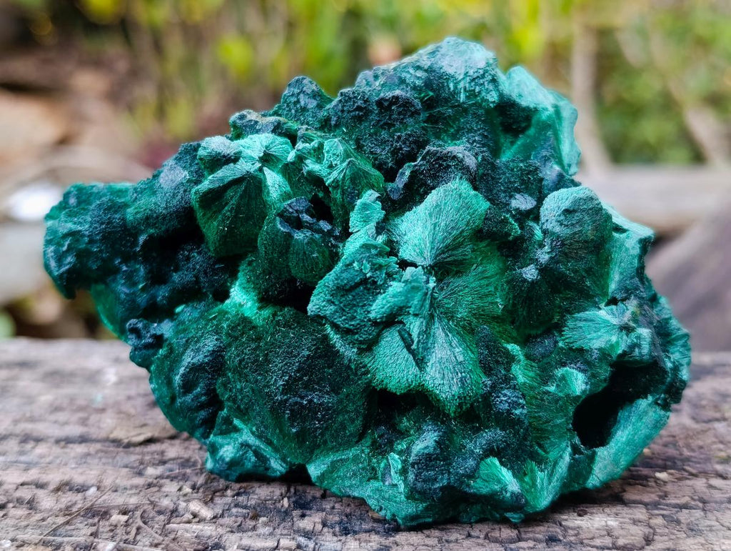 Natural Exquisite Silky Malachite Specimen x 1 From Kasompe, Congo