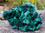 Natural Exquisite Silky Malachite Specimen x 1 From Kasompe, Congo