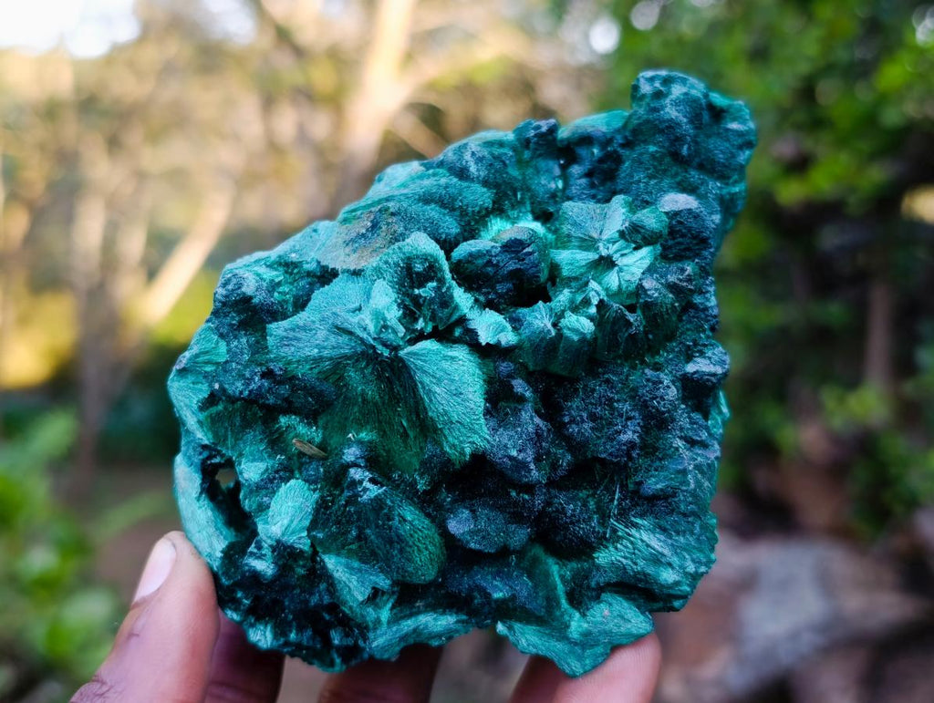 Natural Exquisite Silky Malachite Specimen x 1 From Kasompe, Congo